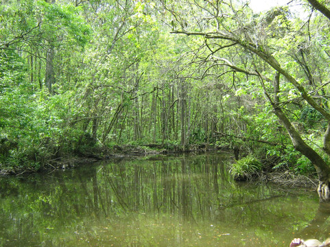 Rusty Anchor Mount Dora Boat Tours