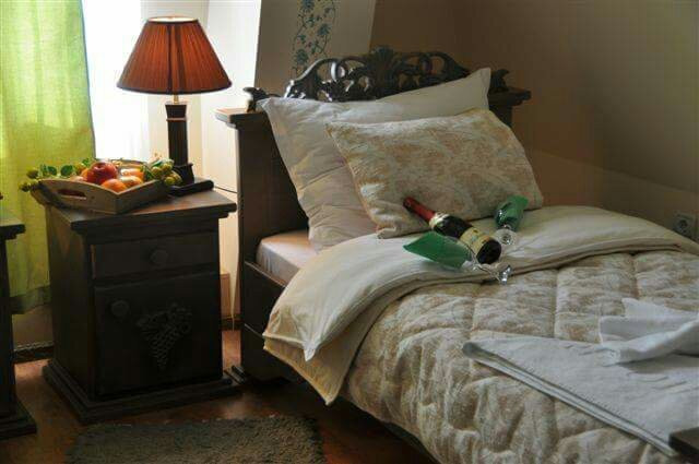 Vila HIT Garni主图