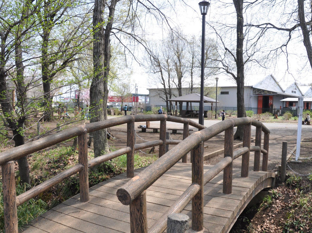 Nobitome Ryokuchi Sogo Park (Yacho no Mori)-新座市必去景点