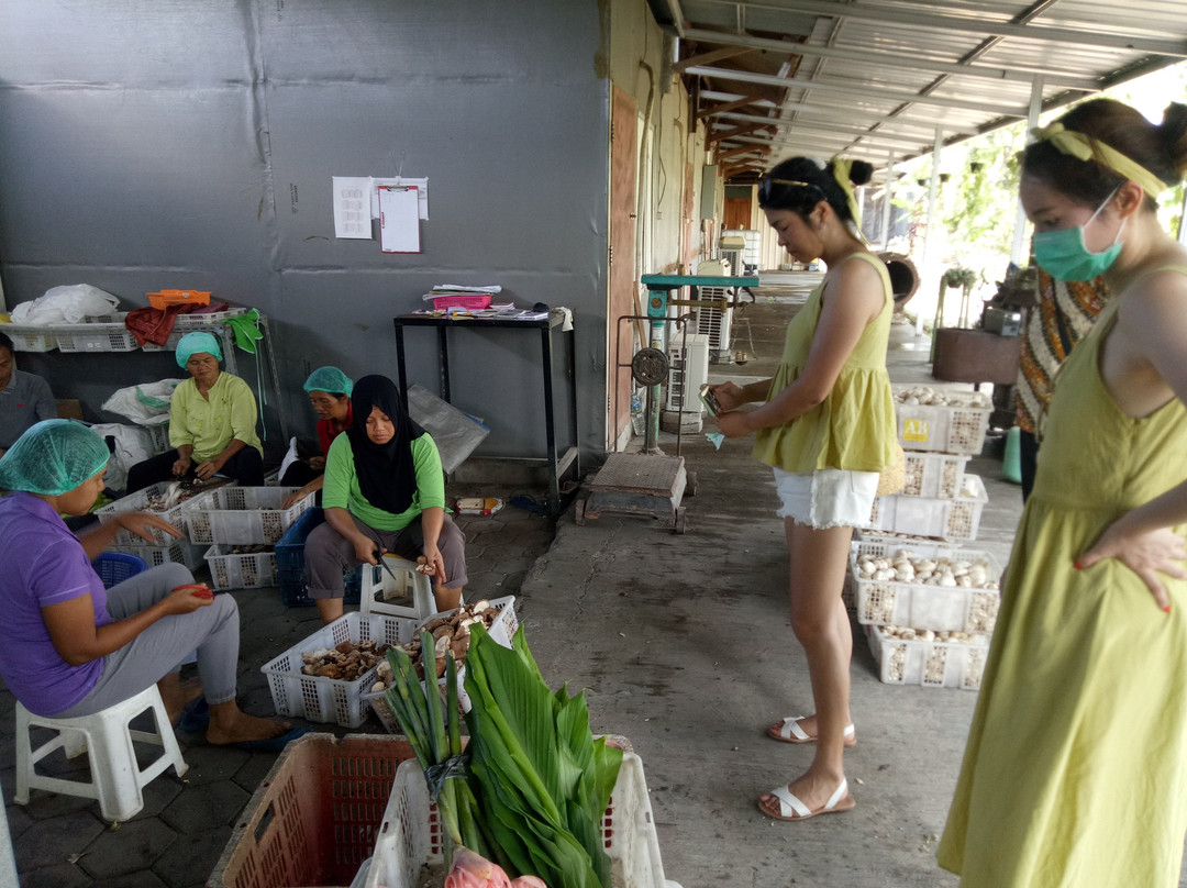 Yogyakarta Tours-Yogyakarta必去景点