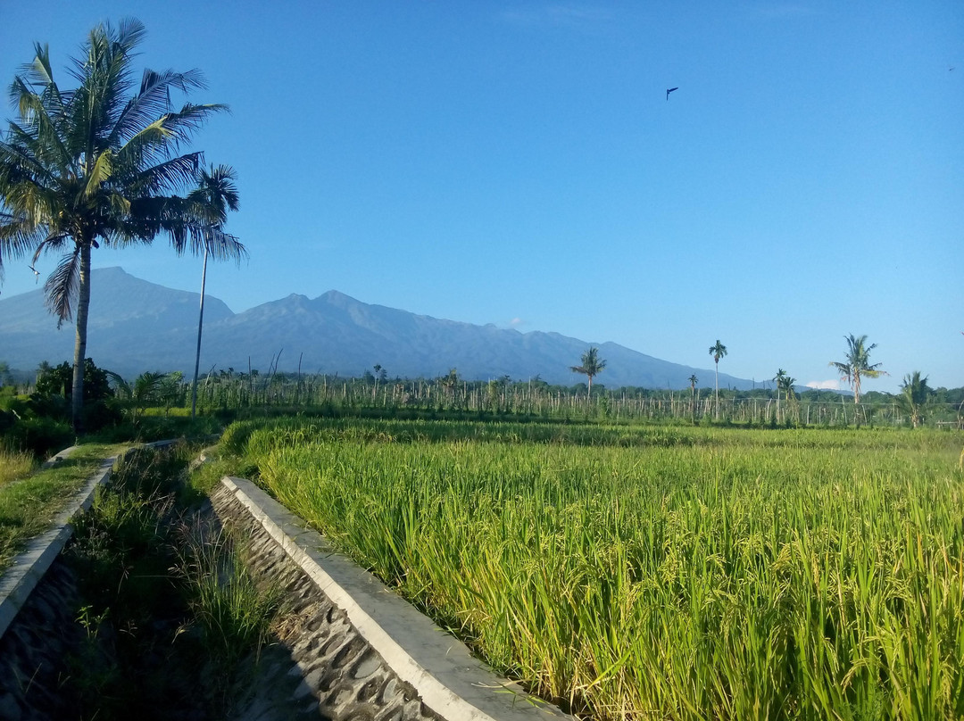 Lombok Eco Tour景点图片