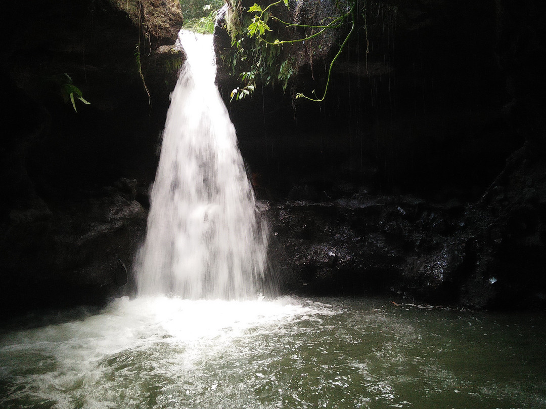 Burung Walet Waterfall景点图片