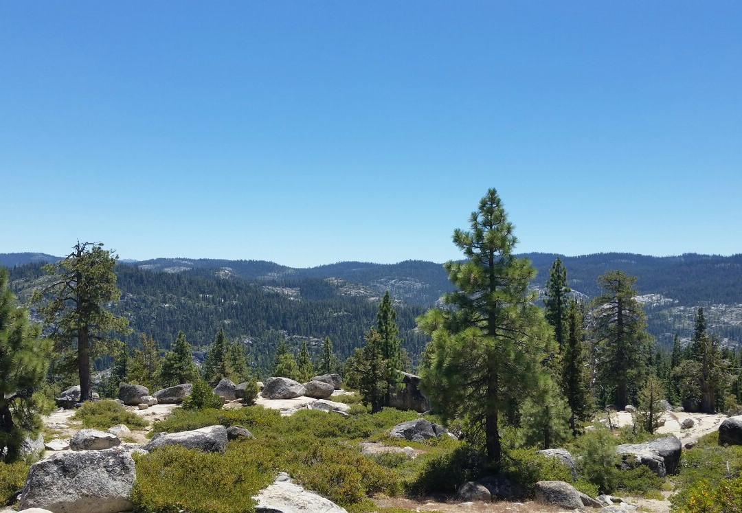 Bear Valley旅游攻略图片