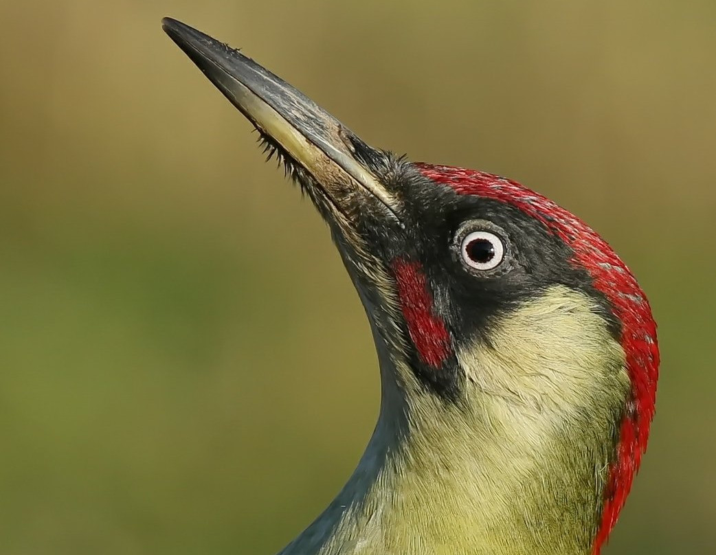 Kirkby on Bain旅游攻略图片