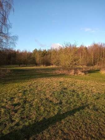 Orchid Wood-Breaston必去景点