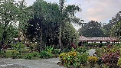 La Foresta Nature Resort主图