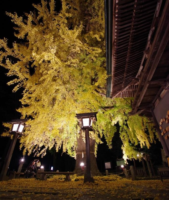 Imamiya Shrine-樱市必去景点