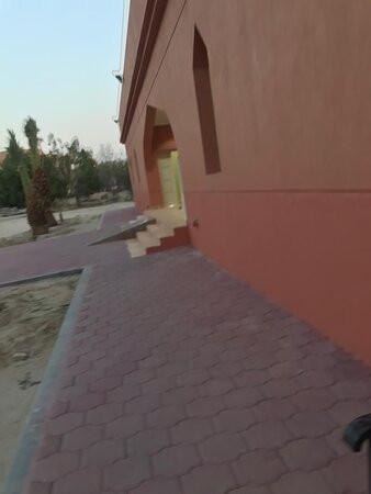 Hamad Al Saleh Al Ibrahim Mosque-Fintas必去景点