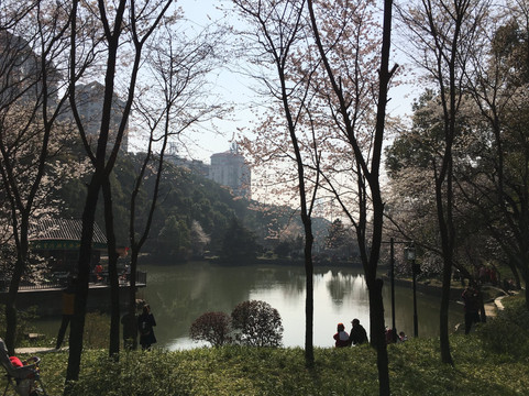 望月公园