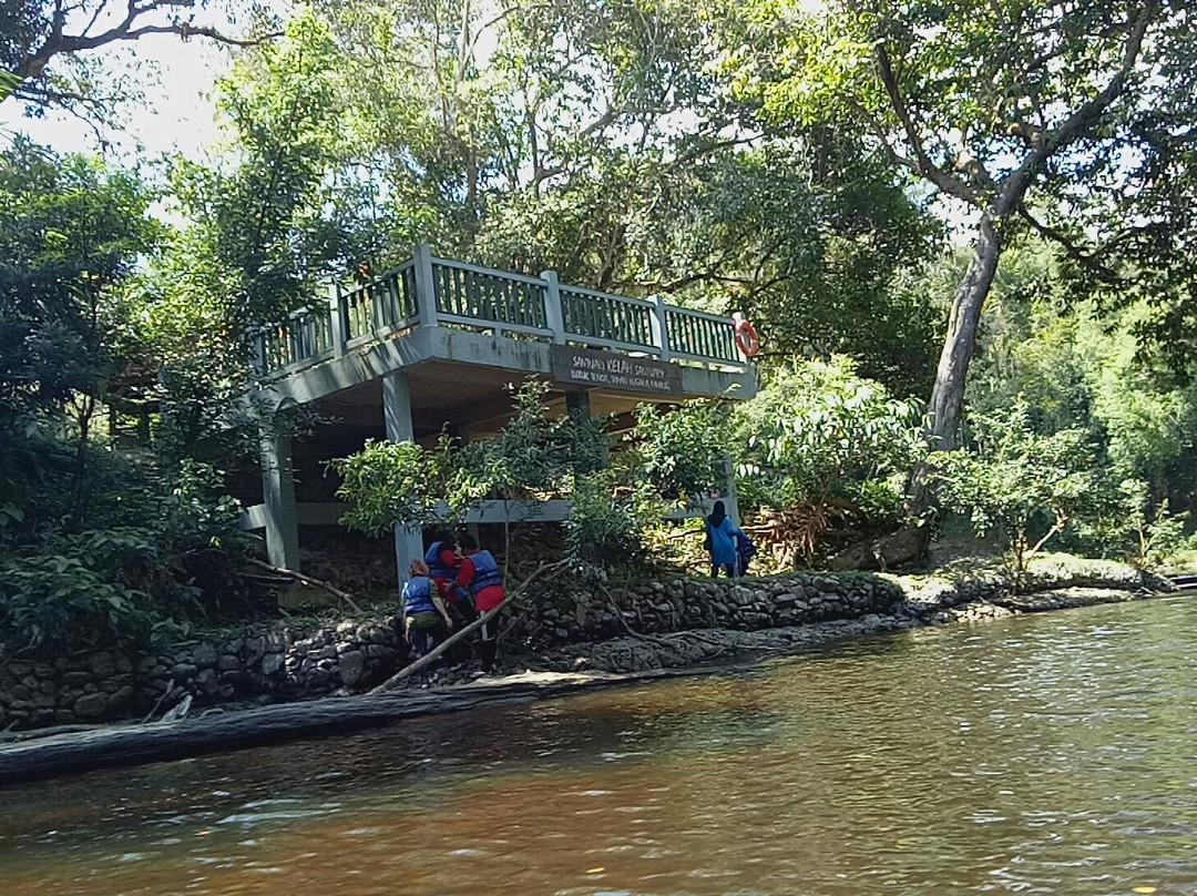Taman Negara National Park旅游攻略图片