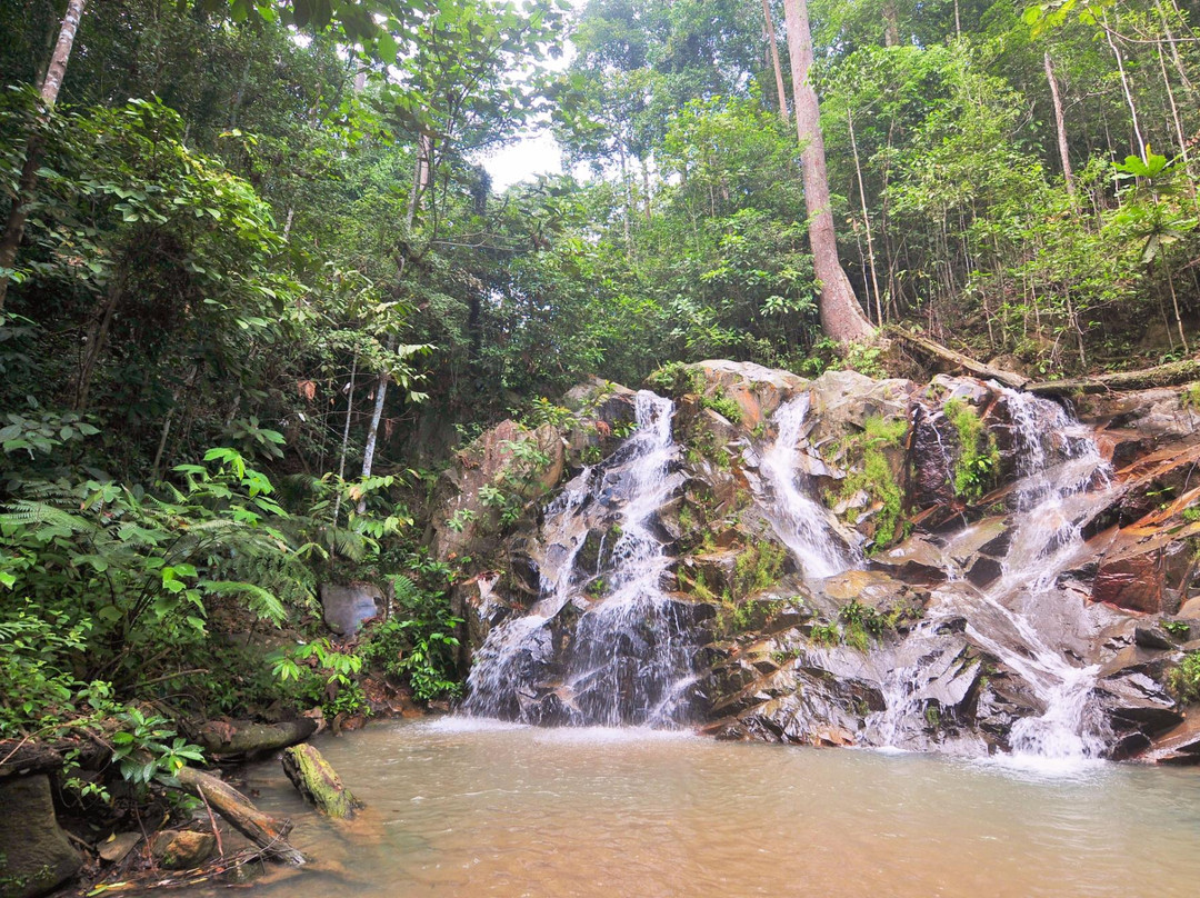 Pulai Waterfall景点图片