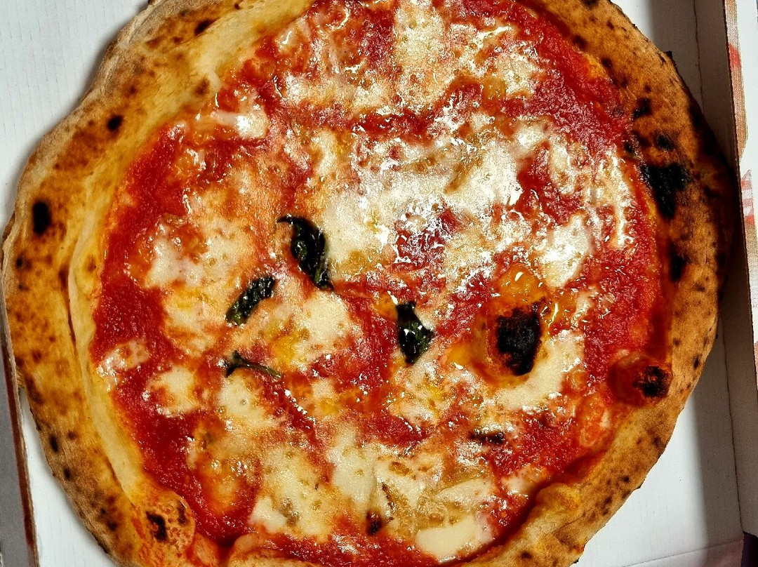 Lievito Padre