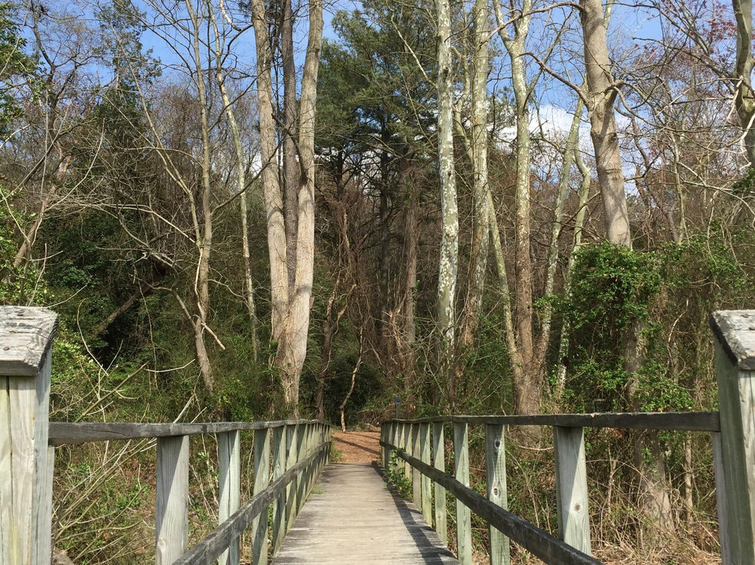 索尔兹伯里旅游攻略图片