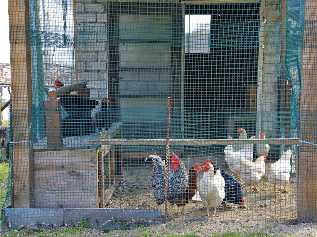 Riviera旅游攻略图片