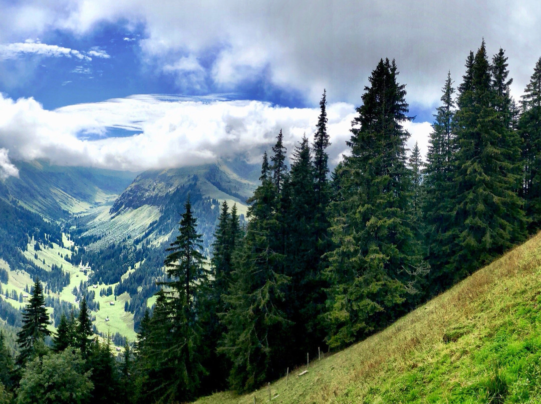 Zweisimmen - Rinderberg - Alp Wistätt - Lenk景点图片