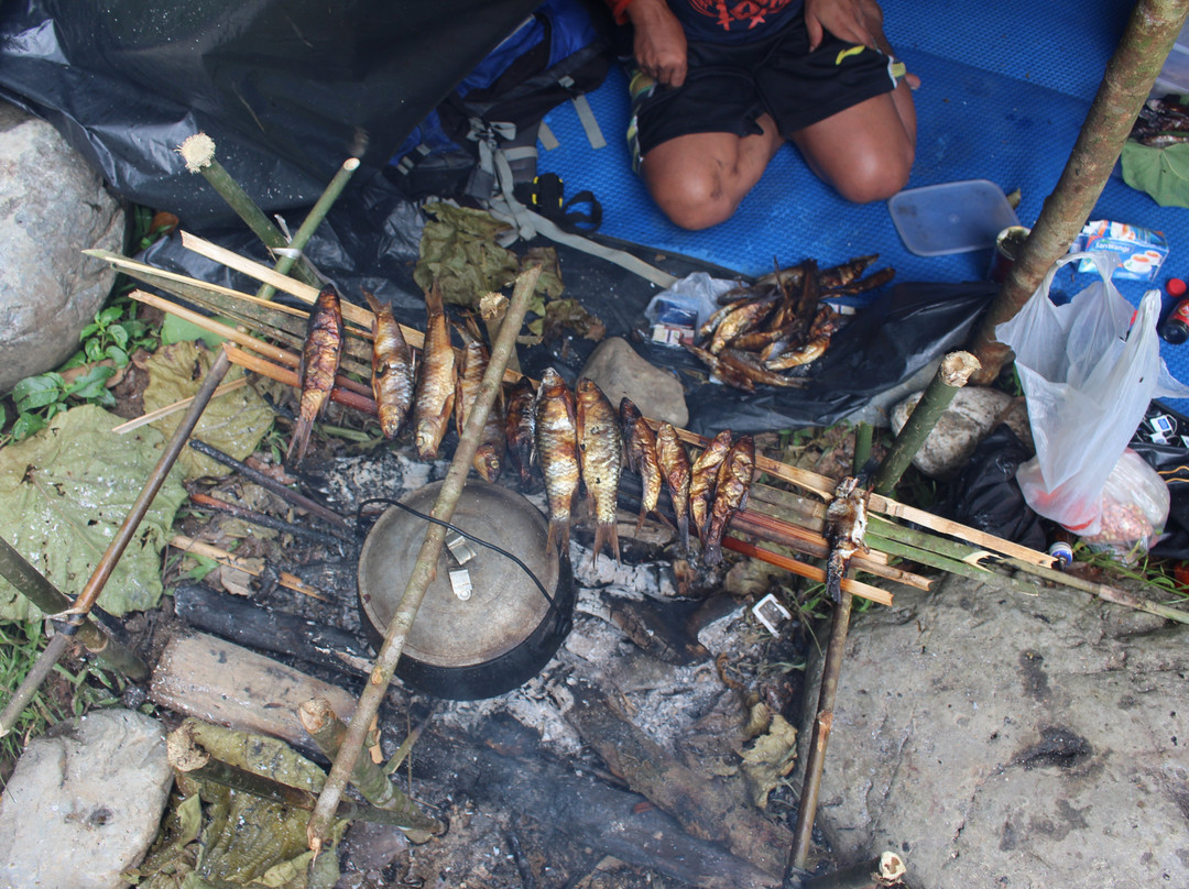 Into The Wild Bukit Lawang - Day Tours-武吉拉旺必去景点