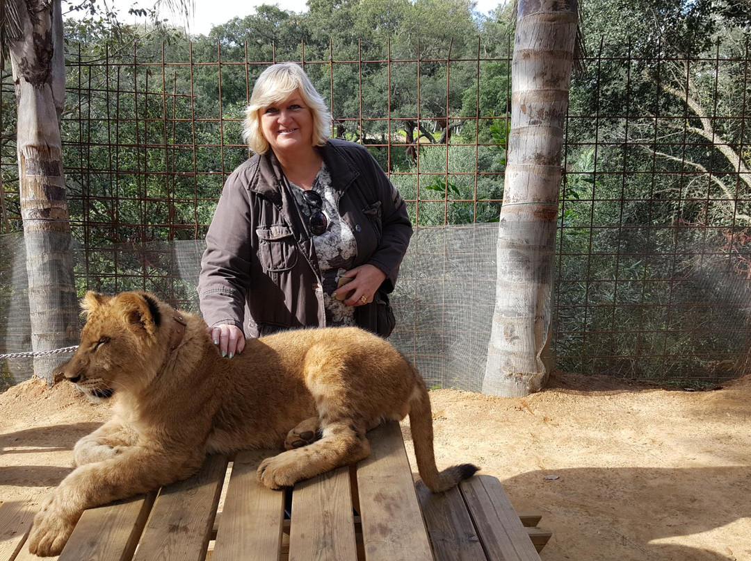 Zoo de Castellar景点图片