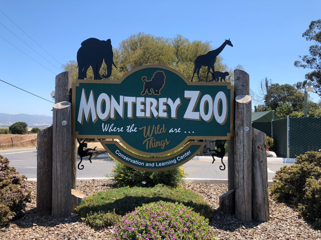 Monterey Zoo景点图片