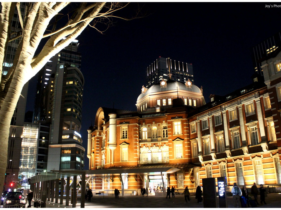 Tokyo Station Marunouchi Ekimae Hiroba景点图片