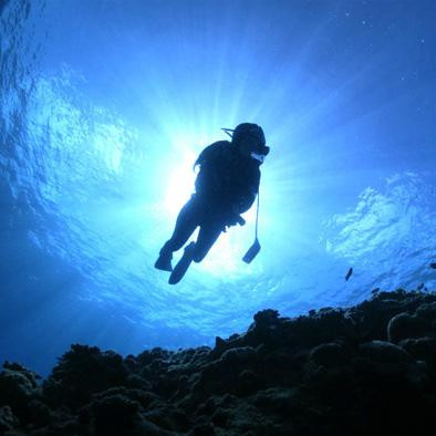 Miyakojima Diving Shop Guide-Ya-San-宫古岛市必去景点