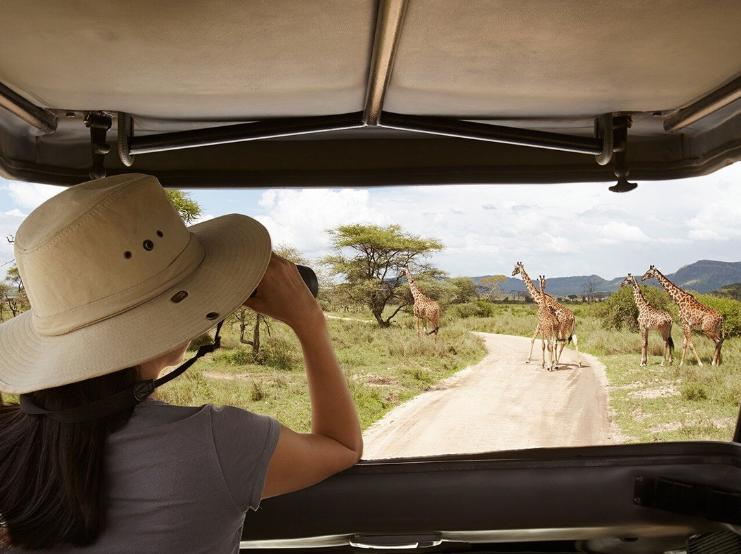 Inspire Tanzania Safaris景点图片