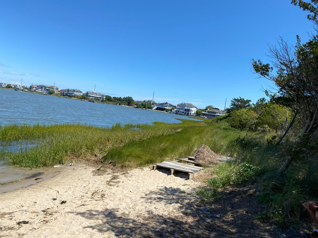 Delaware Seashore State Park Fresh Pond