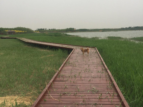 西青郊野公园-天津市必去景点