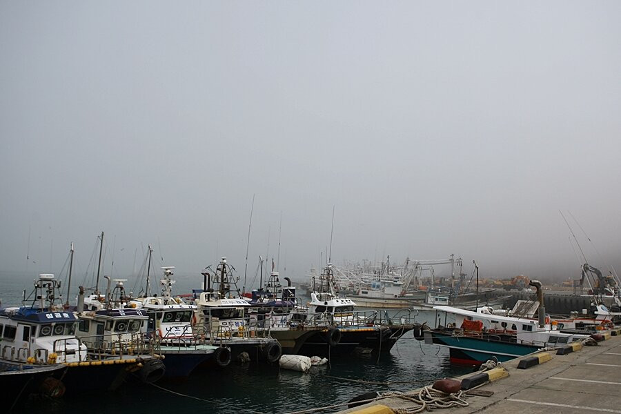 Hongwon Port-舒川郡必去景点