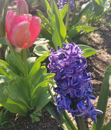 Ruta Galapagar-Galapagar必去景点