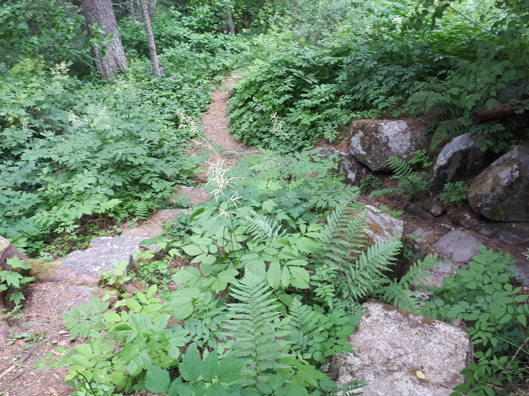 Hortsanan Arboretum-Orivesi必去景点