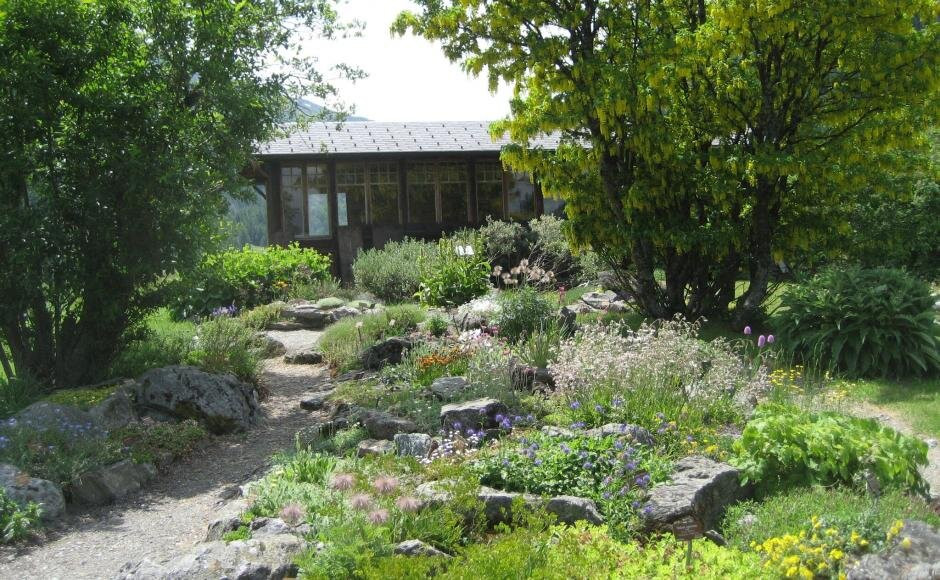 Jardin alpin La Linnaea景点图片