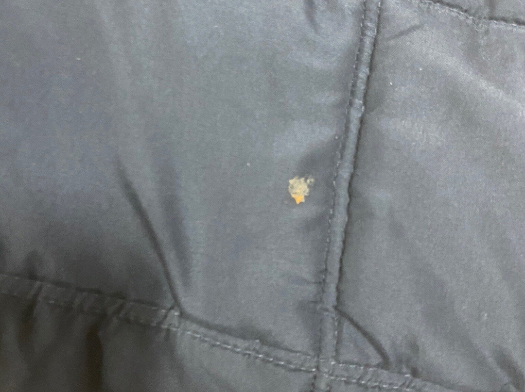 Matilda Motor Inn主图