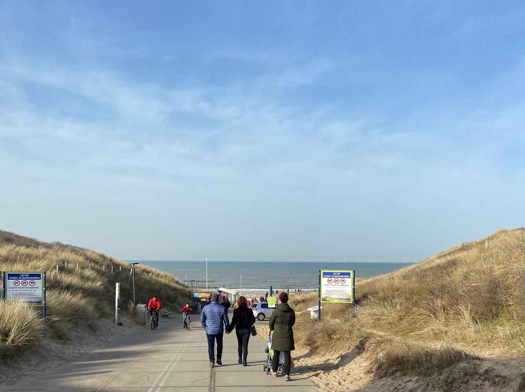 Strand van Castricum景点图片