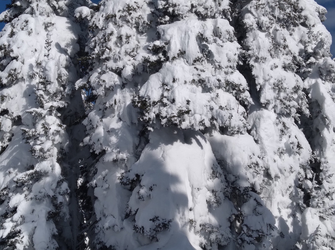 High Mountain Adventures景点图片