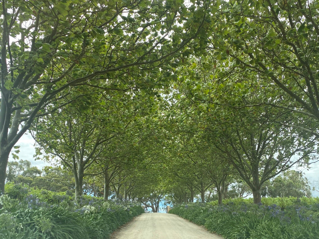 K1 Wines-Kuitpo必去景点