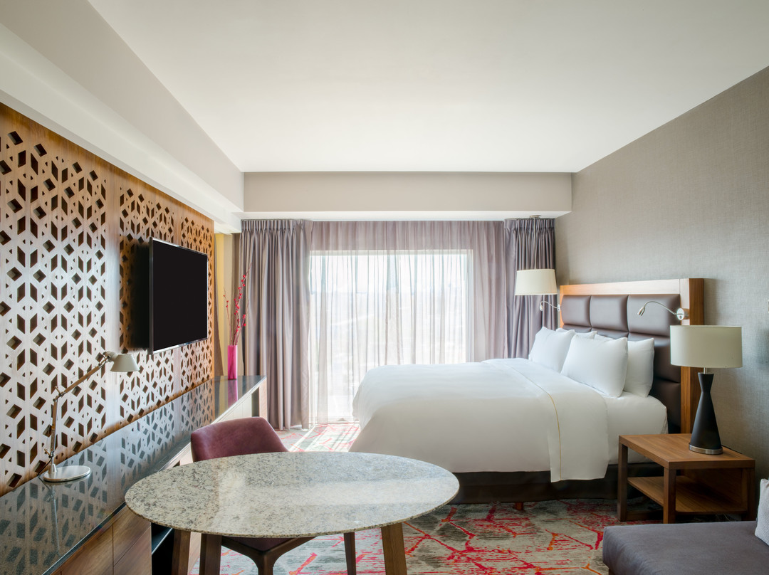 Fiesta Americana Mexico Satelite主图