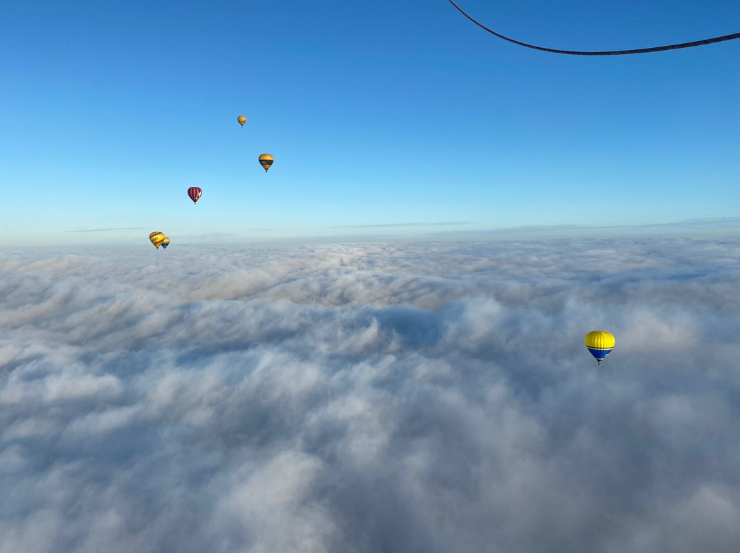 Balloon Aloft Hunter Valley景点图片