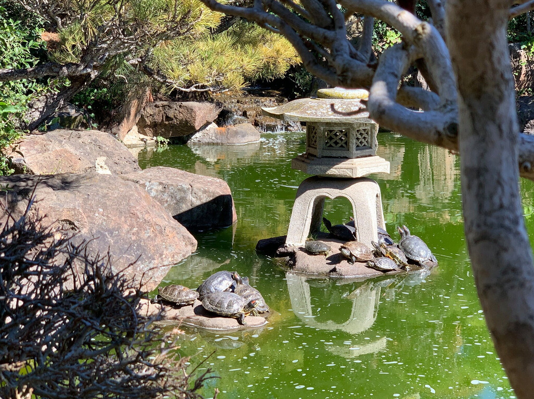 Hayward Japanese Gardens-海沃德必去景点