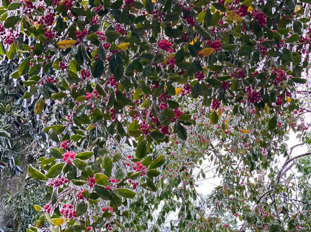 The Stockade Bed and Breakfast主图