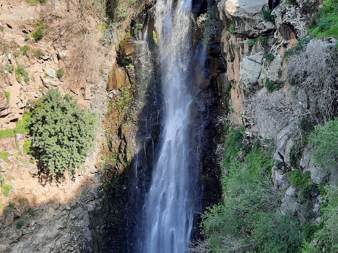 Hen Chalet & Suites主图