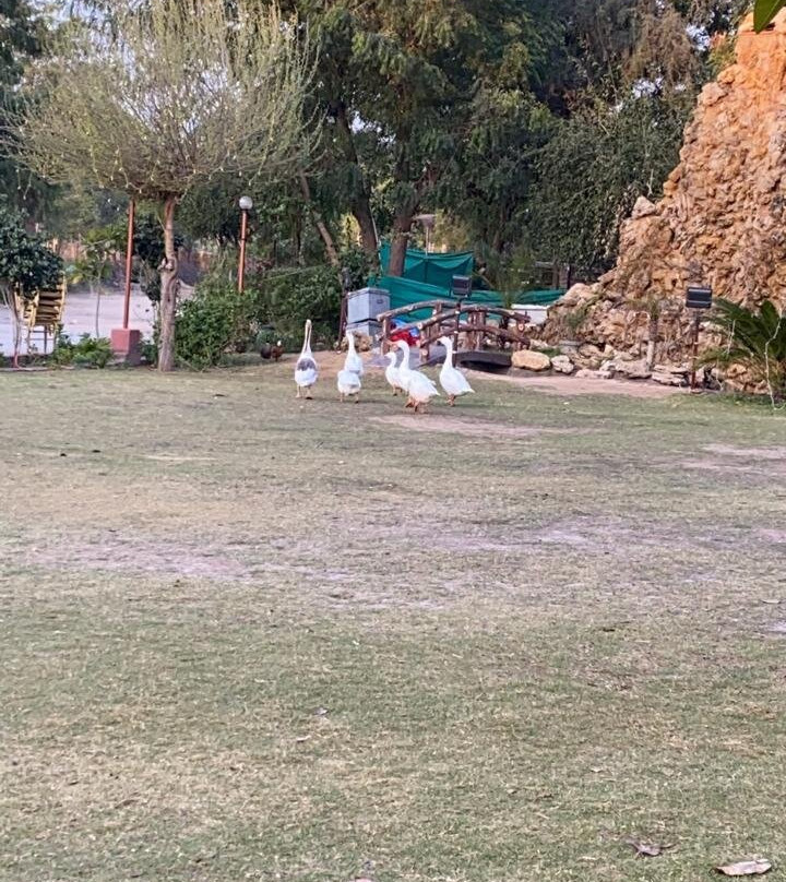 Thar Exotica Hotel & Resorts主图