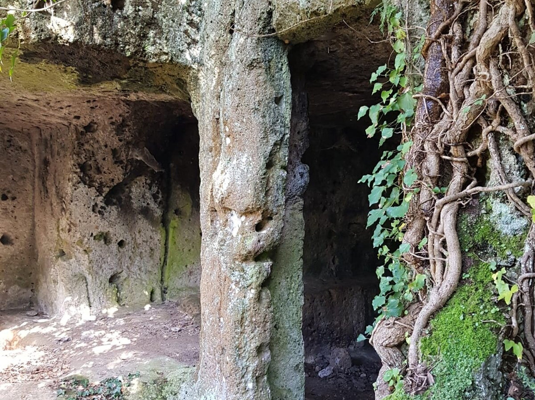 Necropoli di San Giuliano-Barbarano Romano必去景点