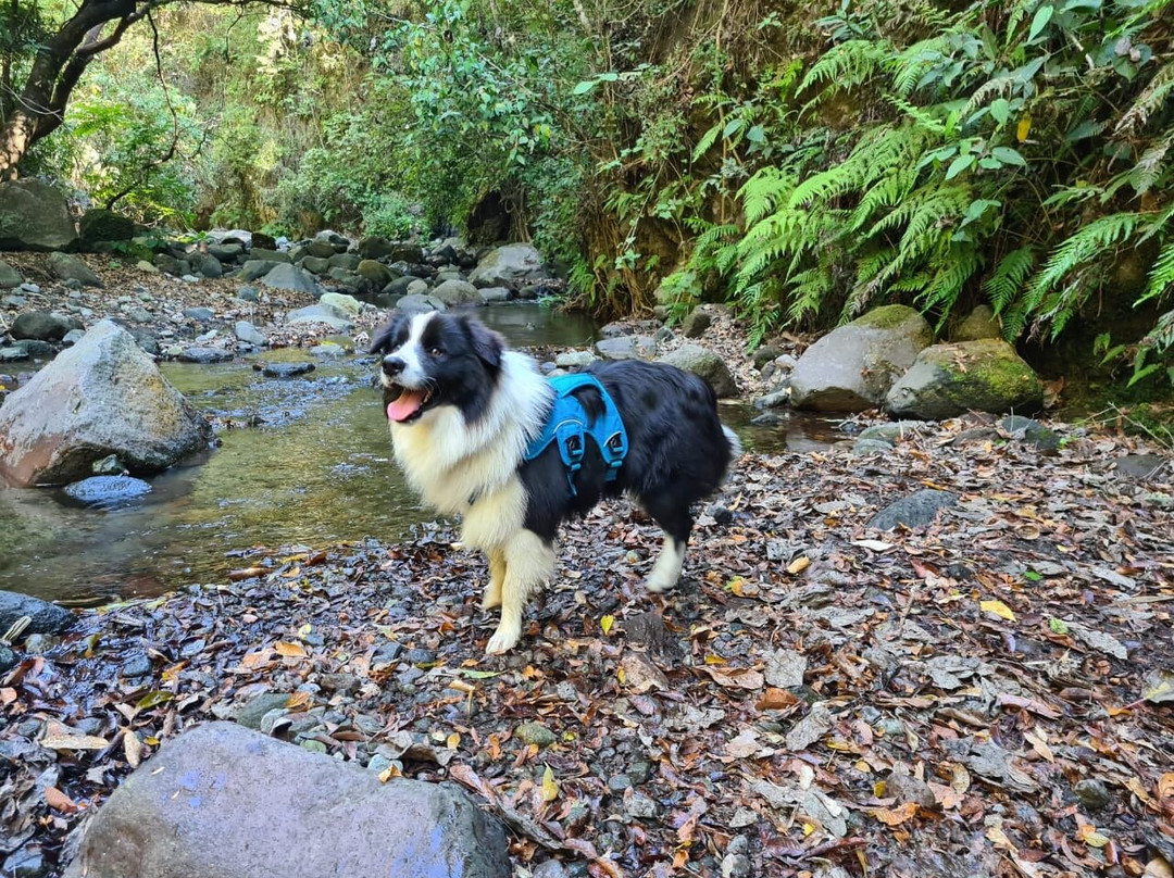 Admire Mexico Tours DMC-Comala必去景点