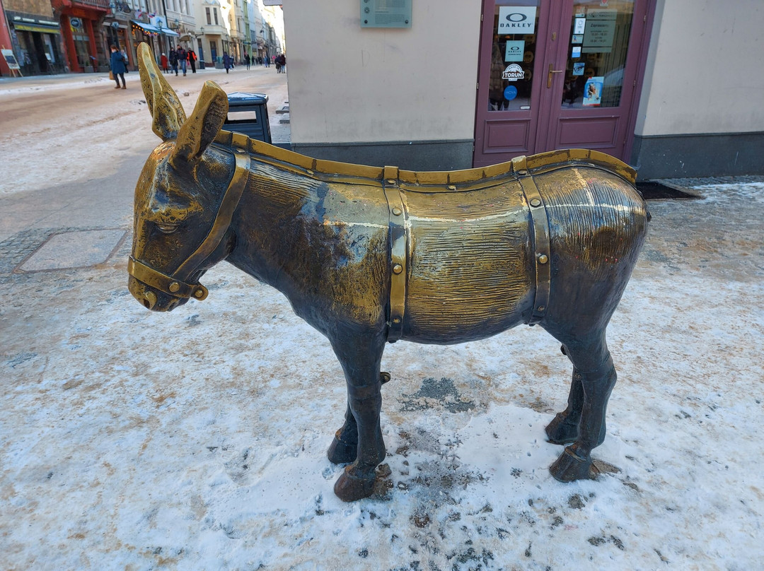 Monument to Donkey景点图片