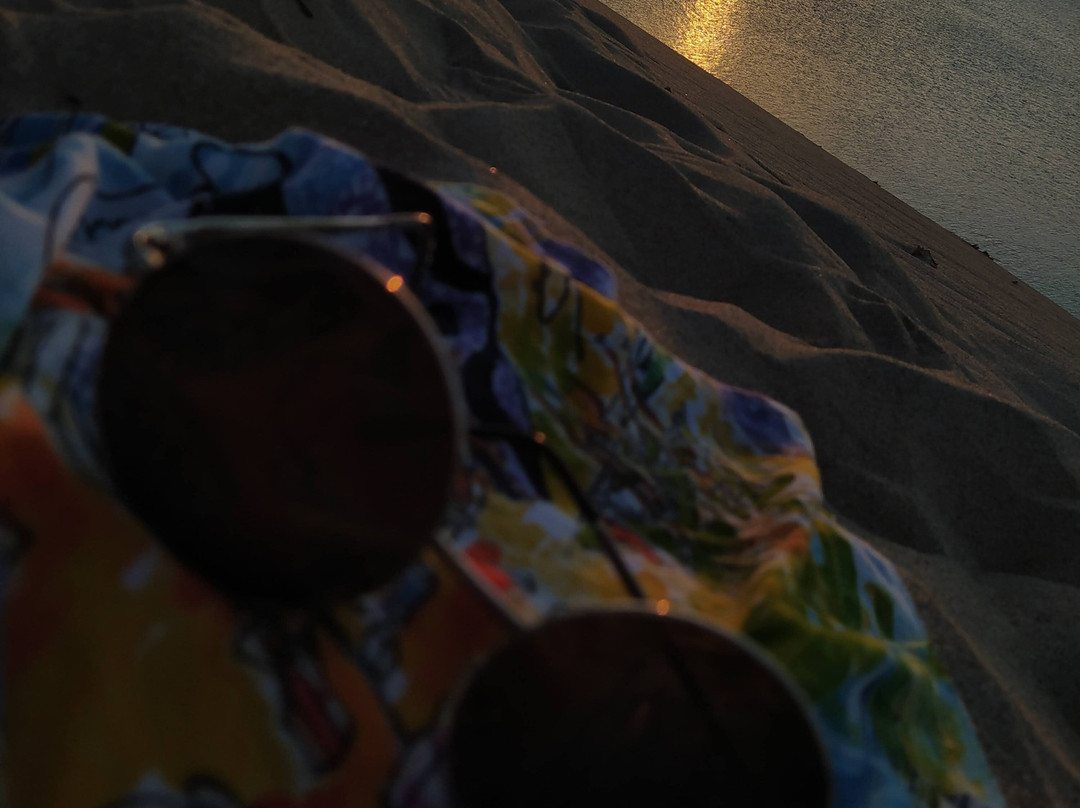 Dunas de Galinhos景点图片