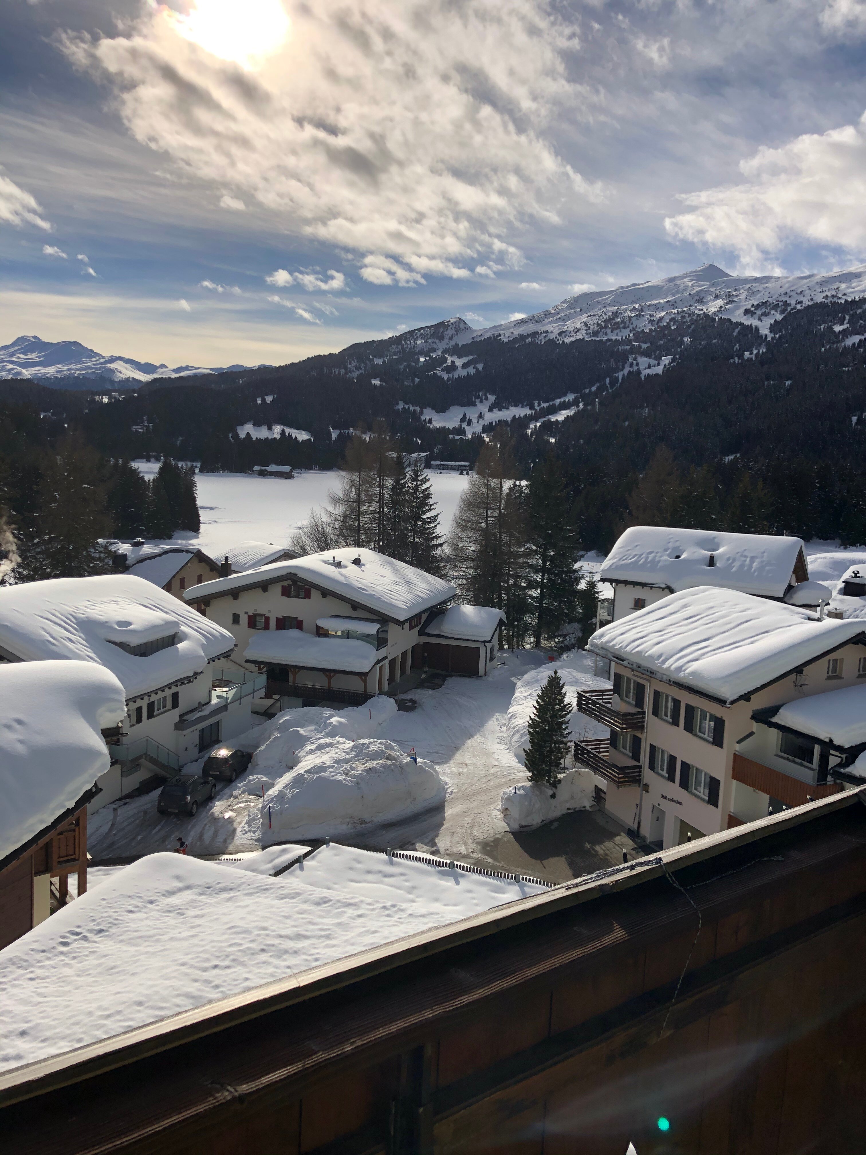 Hotel Waldhaus am See-酒店景观