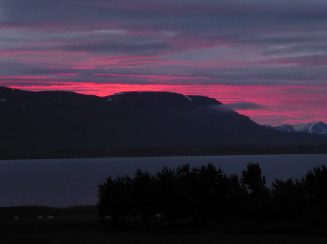 斯维布贾纳格迪田园酒店主图