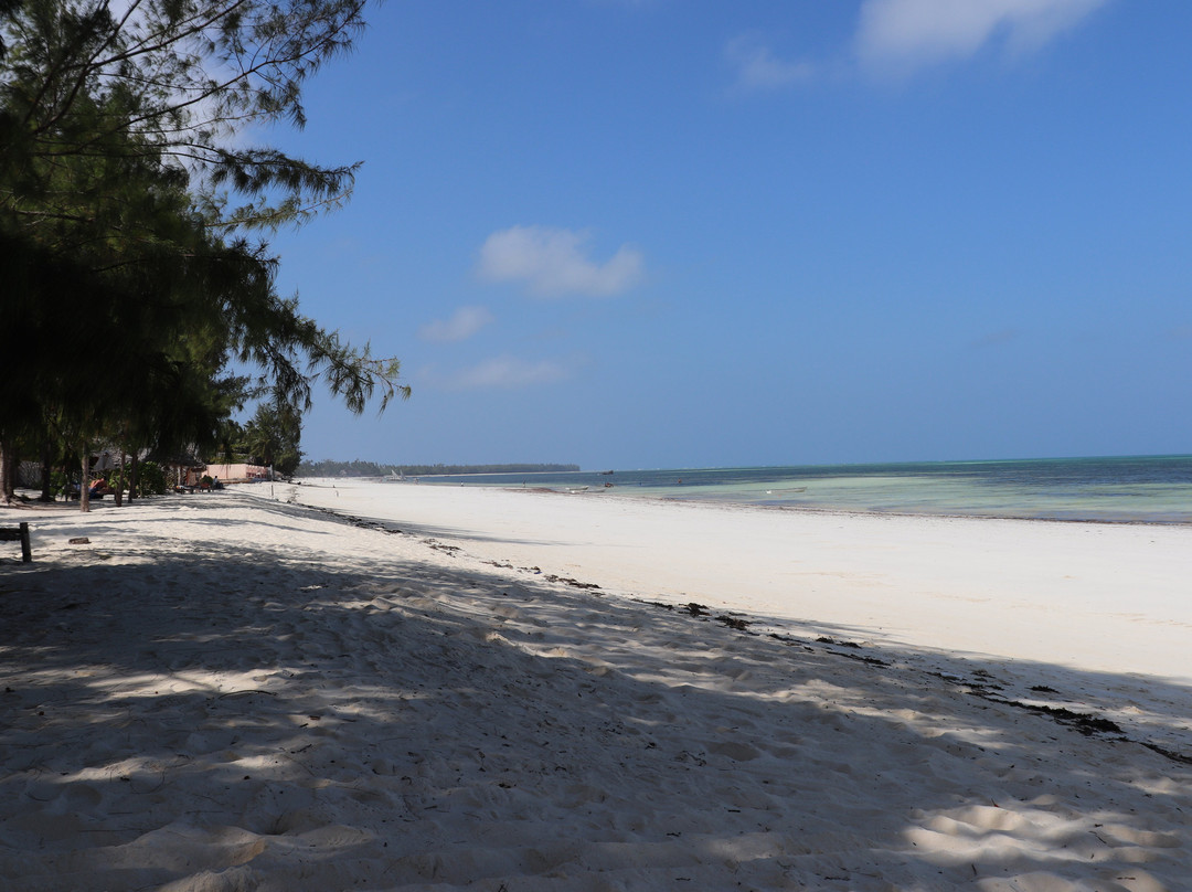 Golden Clove Beach Resort主图