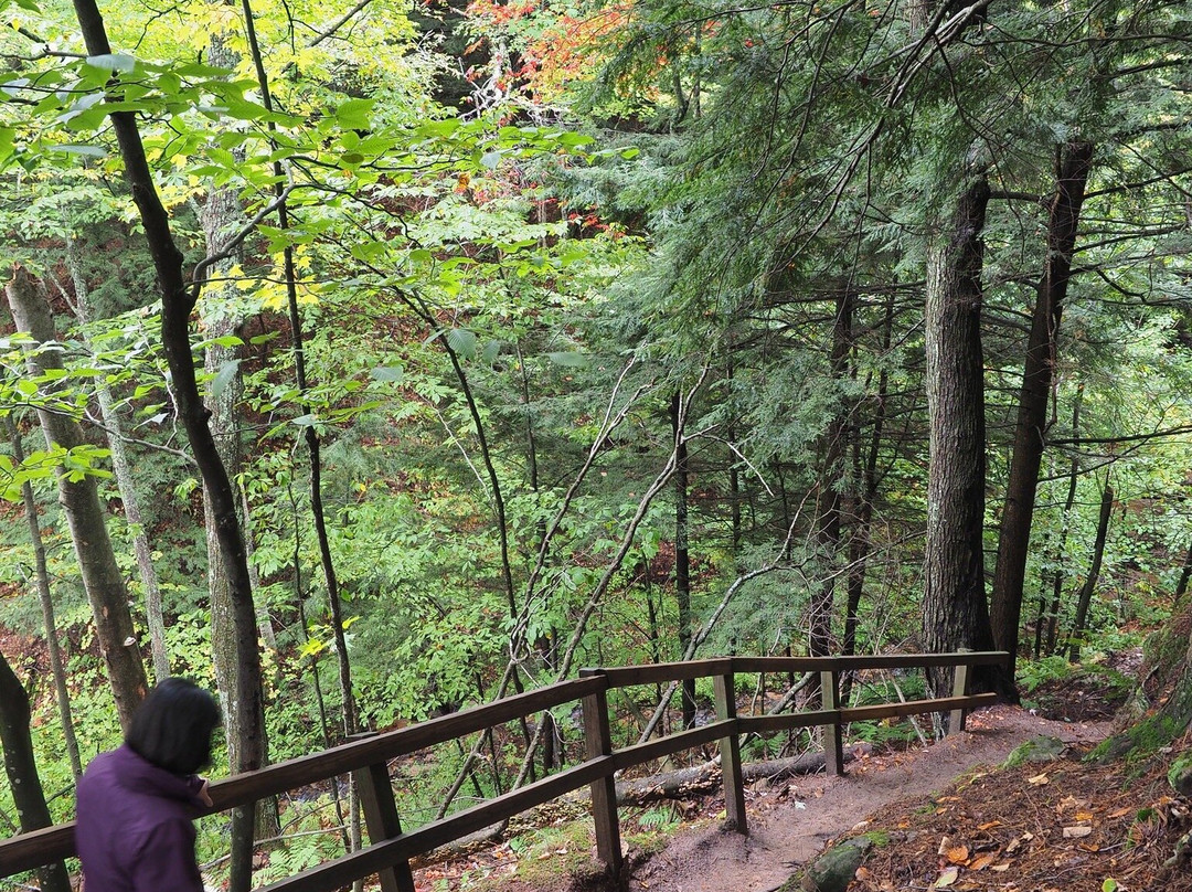 Memorial Falls-缪尼辛必去景点