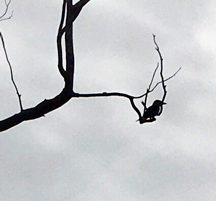 Broken Head Beach-Broken Head必去景点